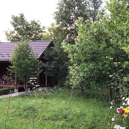 Галіція Villa Beloberezka Luaran gambar