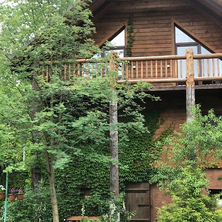 Галіція Villa Beloberezka Luaran gambar