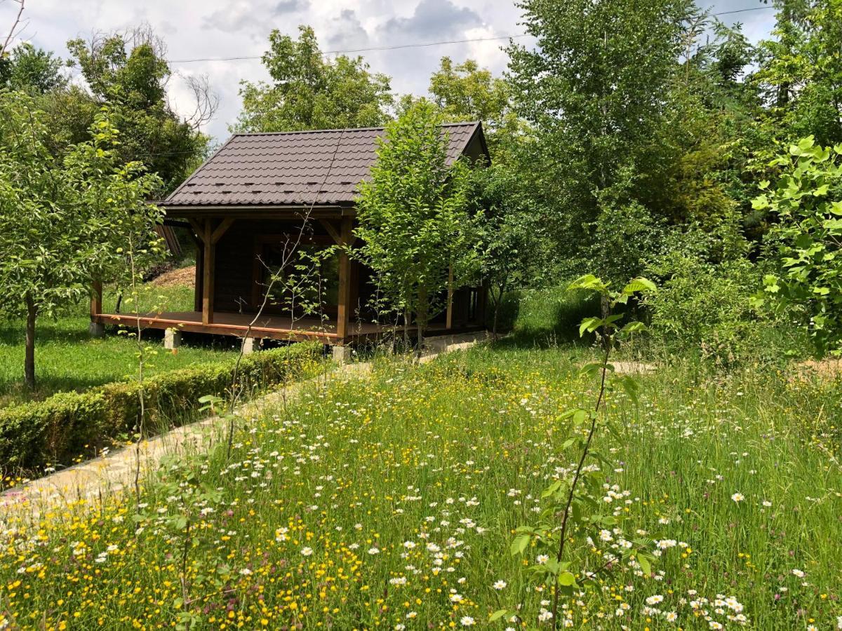 Галіція Villa Beloberezka Luaran gambar