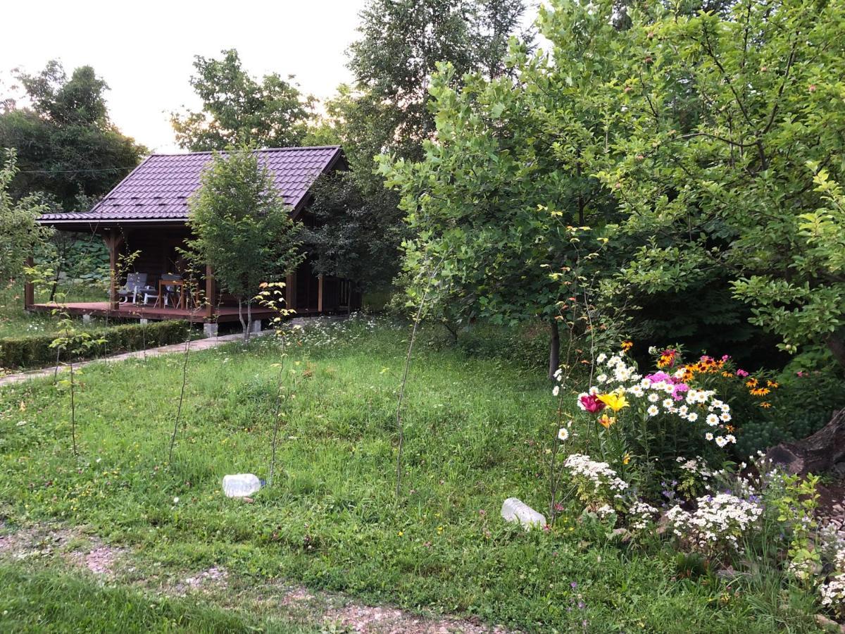 Галіція Villa Beloberezka Luaran gambar